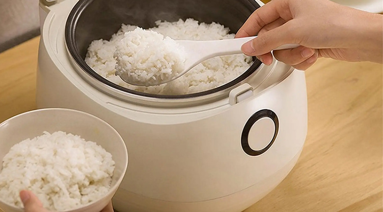 Nên sử dụng nồi cơm điện hay tủ nấu cơm chuyên dụng? quyết định nên sử dụng nồi cơm điện hay tủ nấu cơm chuyên dụng